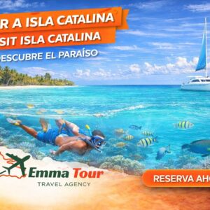 Isla Catalina Tours: una experiencia inolvidable en aguas cristalinas